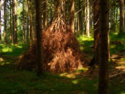 2013-07-20_Regina-F-Rau_Kochel-Rabenkopf (205).JPG